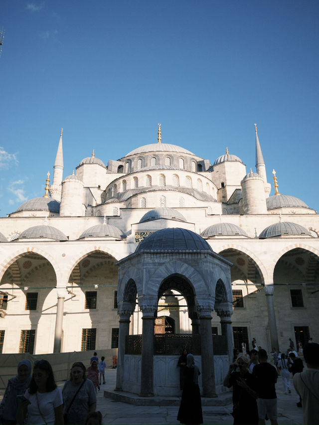 Spring Strolls in Istanbul: A Blooming City Escape 🌸🕌