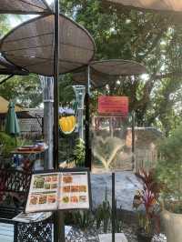 Secret Bay Cafe 
