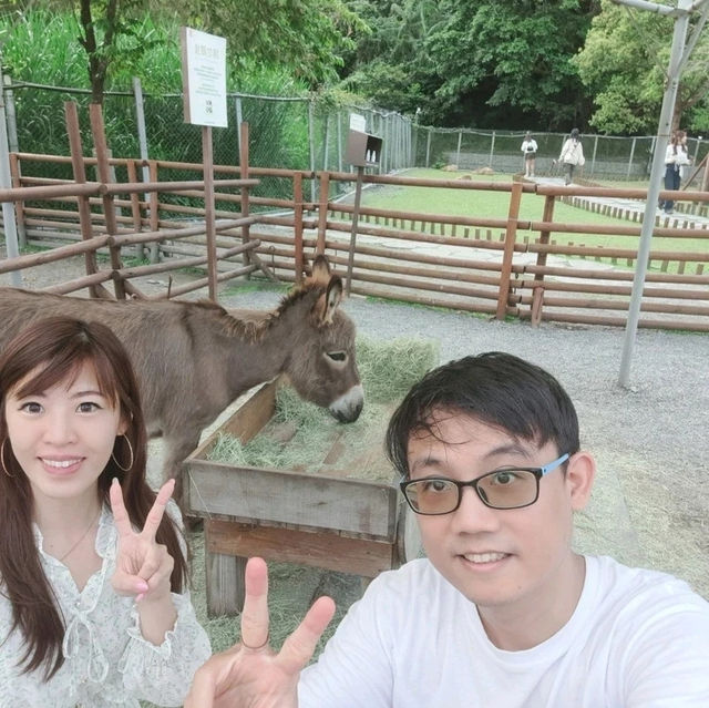 斑比山丘⛰️小鹿斑比的Wonderland🦌