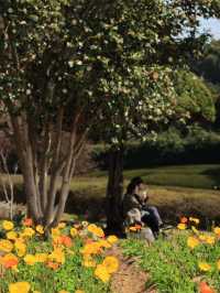 能古島海島公園：用不落幕的詩意花園