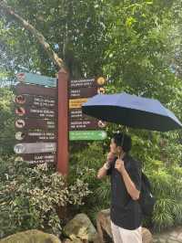 Zoo Negara: A Roaring Good Time in KL! 🦁🐼
