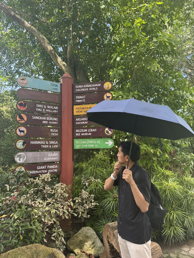 Zoo Negara: A Roaring Good Time in KL! 🦁🐼