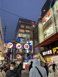 【🇯🇵】上野アメ横へ行ってきた！✨