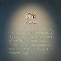 Exploring the Lu Xun Exhibit at Bai E Tan Guangdong Art Museum, Guangzhou