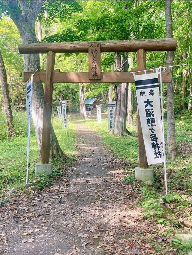 Spring at Onuma Park: The Perfect Cycling Spot