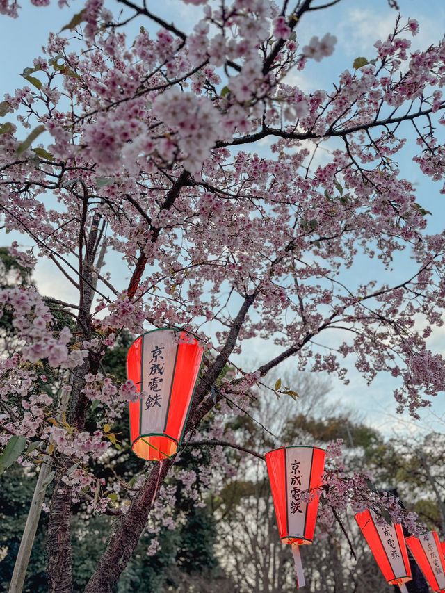 Tokyo Spring vibes unlocked 🌸