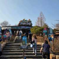 용인 야외데이트 장소 추천 '에버랜드'