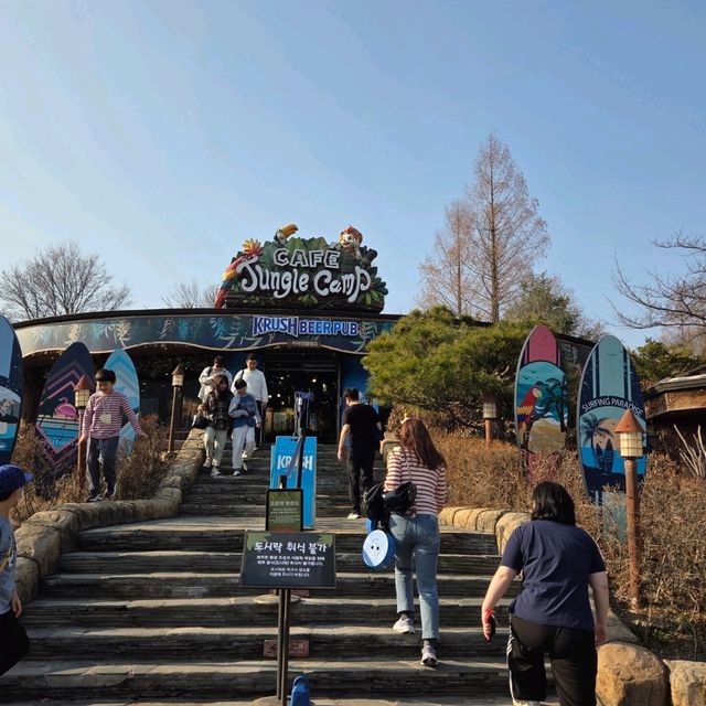 용인 야외데이트 장소 추천 '에버랜드'