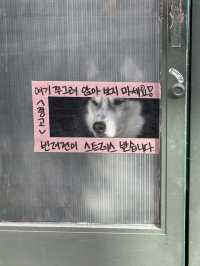 봄 나들이 갔다가 가기 좋은 테니스장