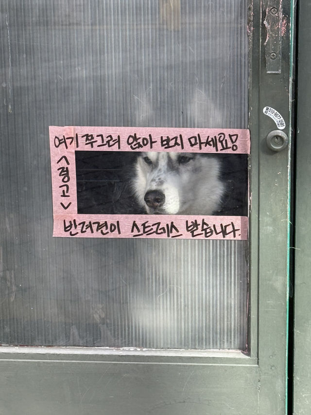봄 나들이 갔다가 가기 좋은 테니스장