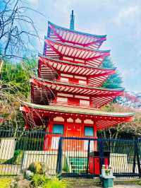 【日本山梨】新倉山淺間公園：步入秋天的畫卷