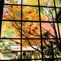 Kyoto không đông đúc - Enkouji Temple