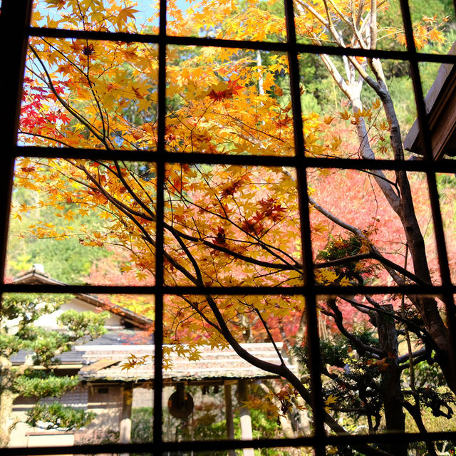 Kyoto không đông đúc - Enkouji Temple