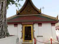 ไหว้พระขอพร วัดพระศรีรัตนมหาธาตุ