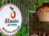 สิริสมปอง ฟาร์ม & คาเฟ่ | คาเฟ่ในสวนมะนาวโห่