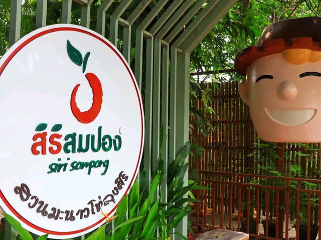 สิริสมปอง ฟาร์ม & คาเฟ่ | คาเฟ่ในสวนมะนาวโห่
