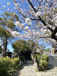 知多四国霊場巡り　第20番礼所　龍台院