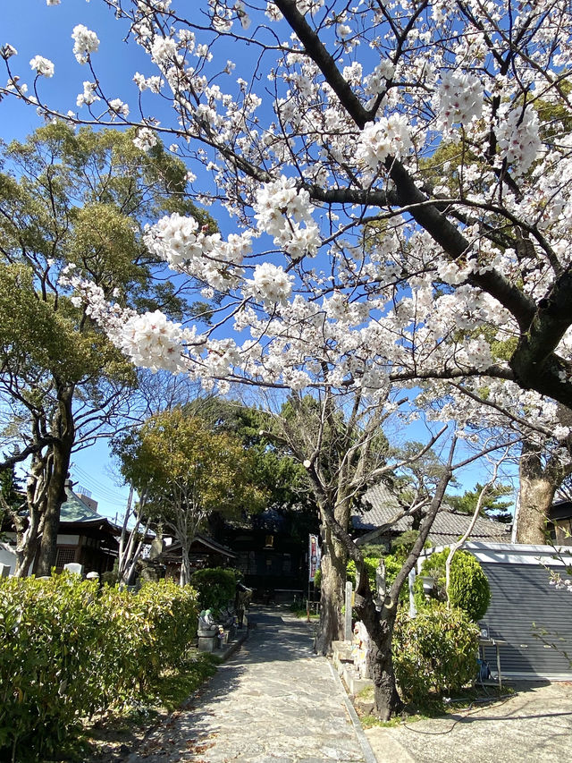 知多四国霊場巡り　第20番礼所　龍台院