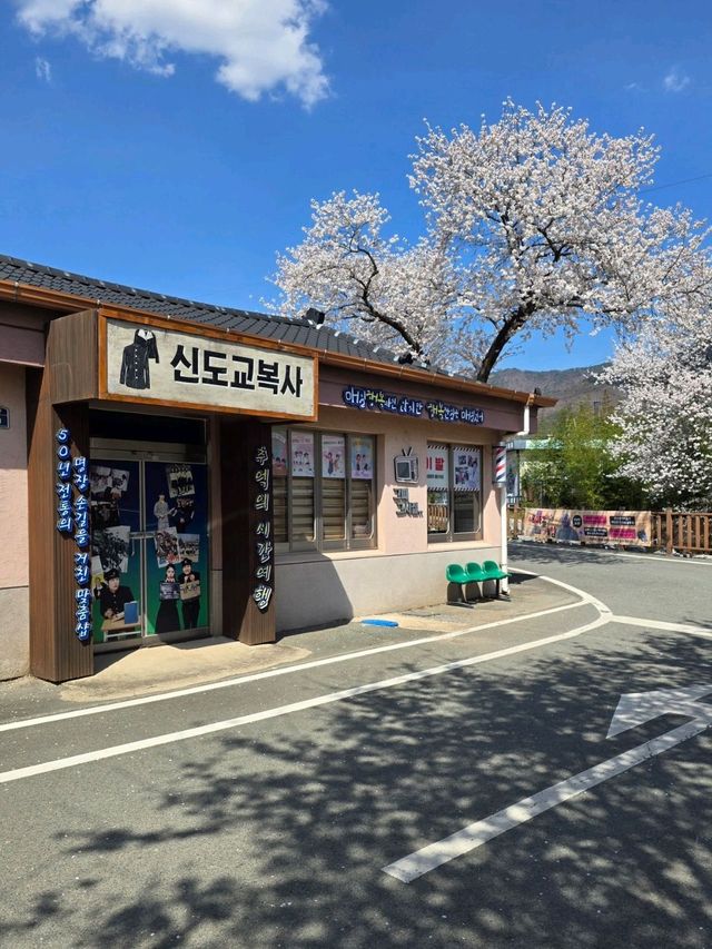 눈송이같은 벚꽃이 만개한 새마을기념공원🌸