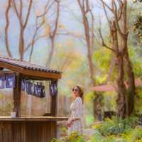 ที่พัก ร้านอาหาร คาเฟ่ ริมลำธาร เชียงราย