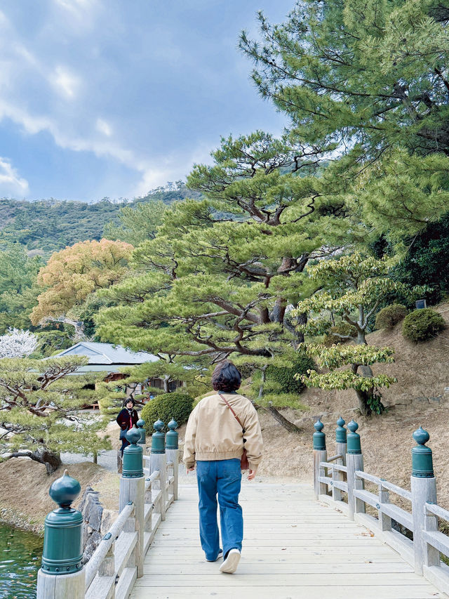 일본 자연 끝판왕 이 곳이에요🇯🇵