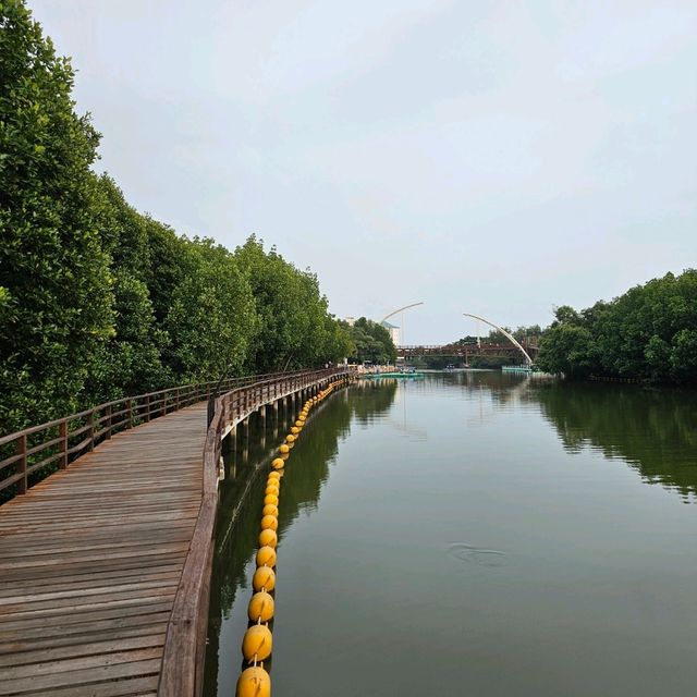 🎄ป่าชายเลนกลางเมือง | ปอดของคนระยอง 🏞