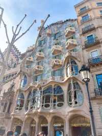 まるでおとぎの国…【カサ・バトリョ｜Casa Batlló】バルセロナ🇪🇸