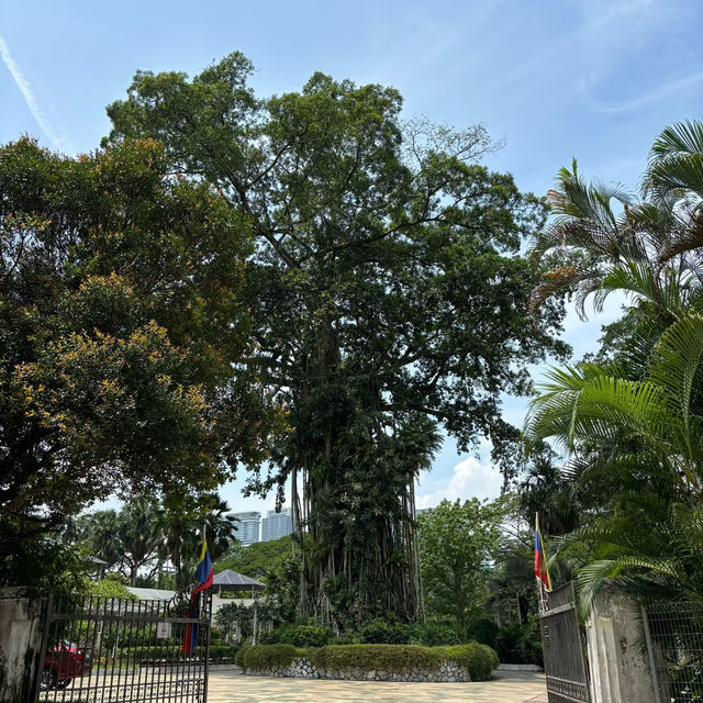 倫披尼公園·曼谷城市中的綠洲