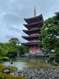 【日本🇯🇵】熊本　蓮華院　赤ちゃん土俵入り