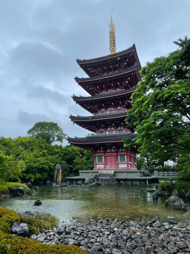【日本🇯🇵】熊本　蓮華院　赤ちゃん土俵入り