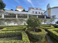 Gardens with a view 