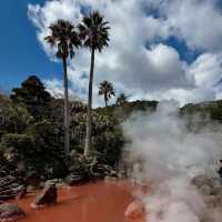 🔥 Beppu Unplugged: Dive into Japan’s Steamy Wonderland! 🌋♨️
