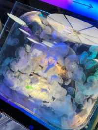 “Aquaria KLCC — Dive Into an Underwater World in the Heart of Kuala Lumpur”