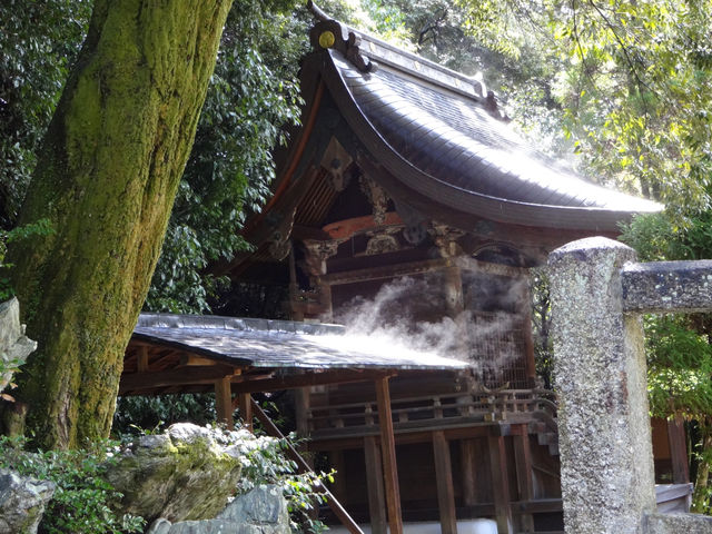 知恩院：京都の中心で心洗われるひととき