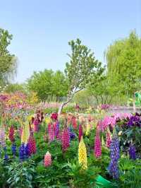 The Beijing World Flower Grand View Garden