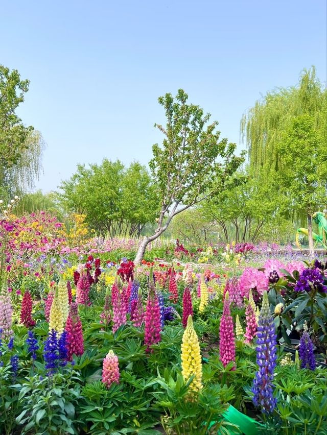 The Beijing World Flower Grand View Garden