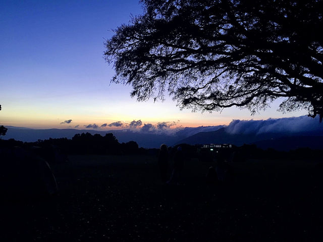 Simba Campsite A｜坐擁壯麗火山口景色的高山營地