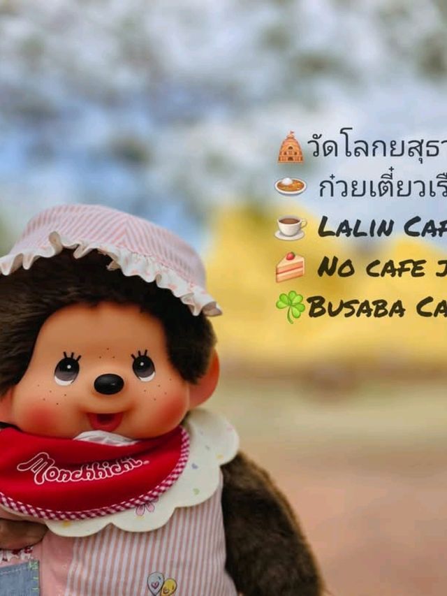 ตะลุยอยุธยา...แบบฉบับวันเดียว