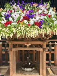 Spring Stroll at Myōshin-ji Temple – A Grand Zen Experience