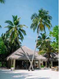 Waves of Joy: Feeling Alive in the Maldives