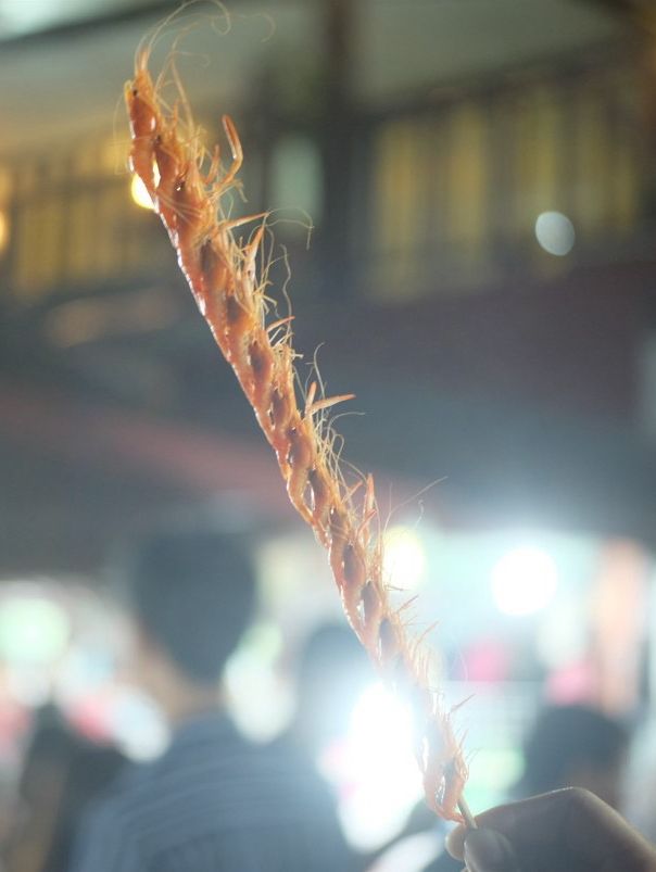 สัมผัสชีวิตชุมชนแบบสโลว์ไลฟ์ที่ เชียงคาน