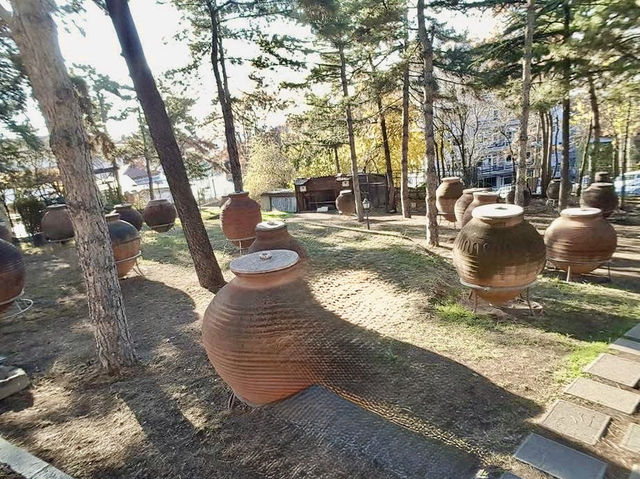 參訪梅夫拉納博物館及安納托利亞文明博物館
