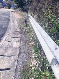 ทริปดอยอินทนนท์ เชียงใหม่