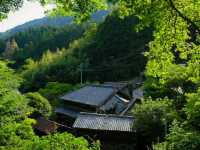 【花沢の里】（静岡県焼津市　旧国名：駿河）
