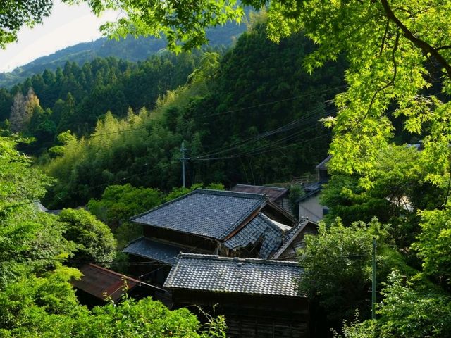 【花沢の里】（静岡県焼津市　旧国名：駿河）