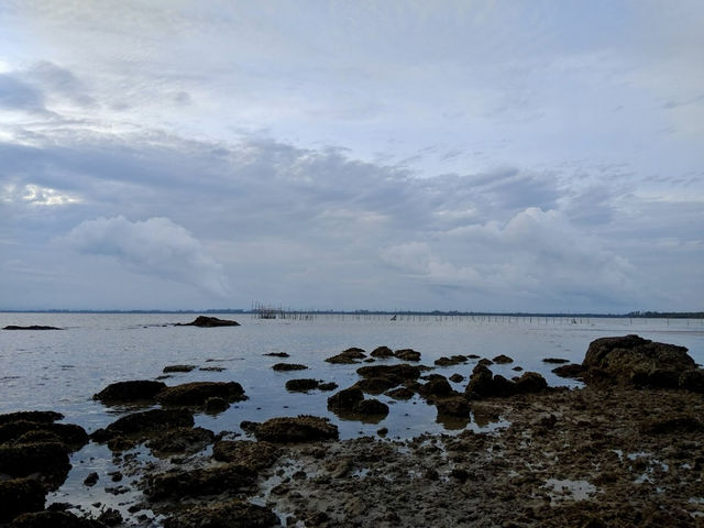 Kuala Penyu Beach Escapes: Sabah’s Untouched Coastal Magic 🌊🐚