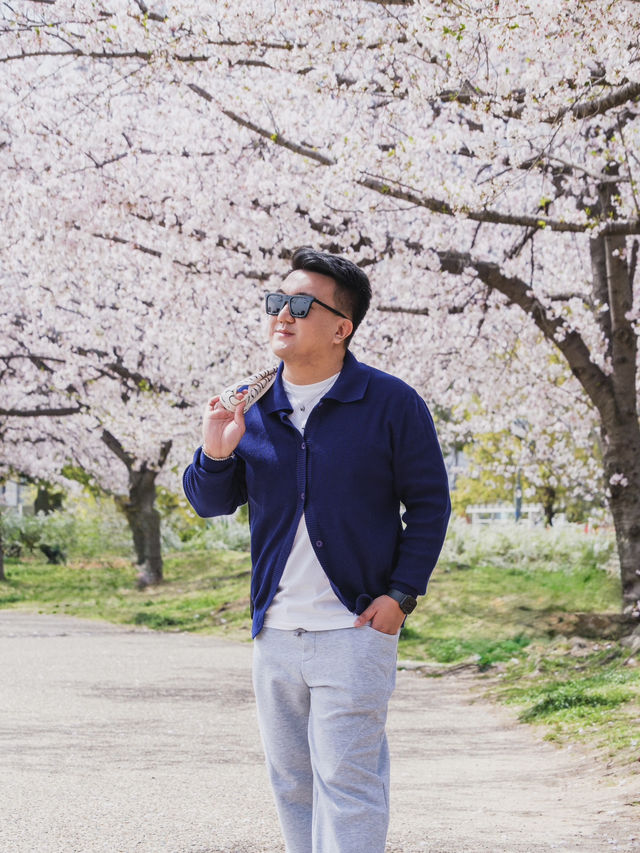 Ogimachi Park in April: A Riot of #aprilblooms! 🌸🌷🌼