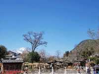 Black Dragon Pond Park - The beautiful natural picture of Lijiang