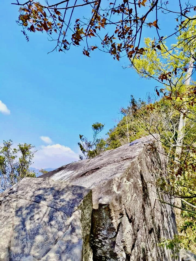 谷關七雄～東卯山