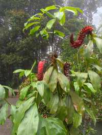 Hidden Gem in Genting – The Japanese Village Dream